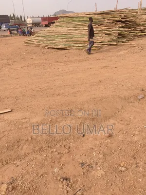 Bamboo Sticks for Sell