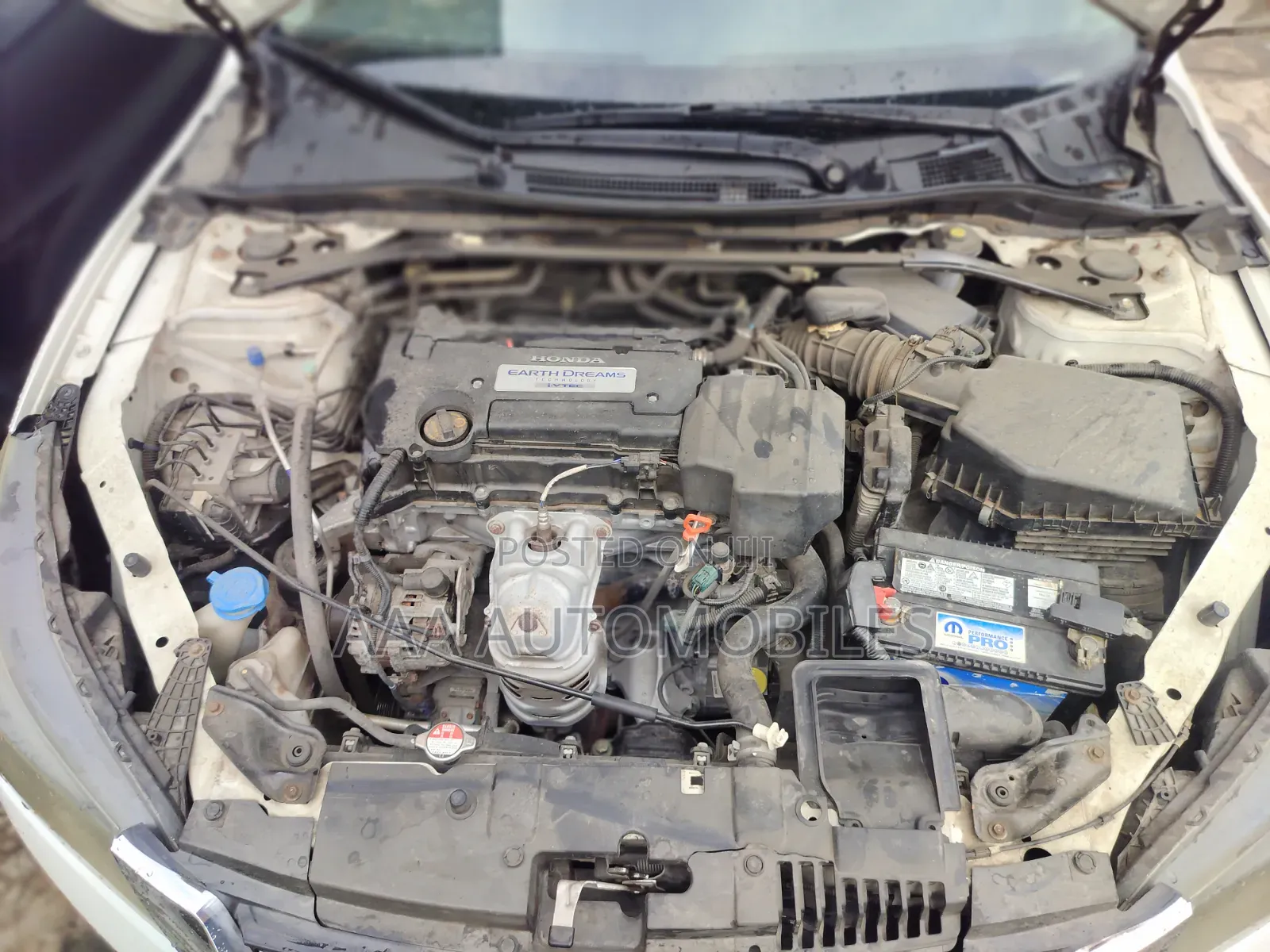 Honda Accord 2014 White
