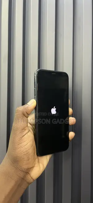 Apple iPhone 11 Pro 256 GB Gray