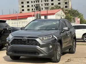 Toyota RAV4 XLE AWD 2019 Gray
