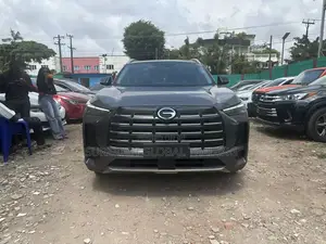 GAC GS4 2024 Gray