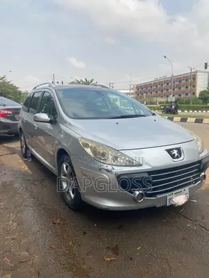 Peugeot 307 2007 Silver