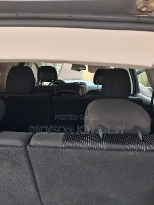 Dodge Journey R/T 2010 Gray