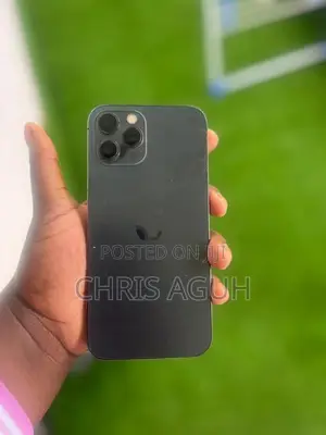 Apple iPhone 12 Pro Max 256 GB Black