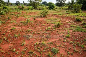 10 Plots of Land for Sale