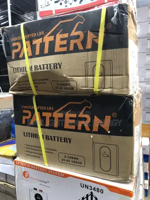 2.5kwh PATTERN Lithium Battery 24V