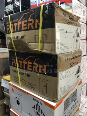 2.5kwh PATTERN Lithium Battery 24V
