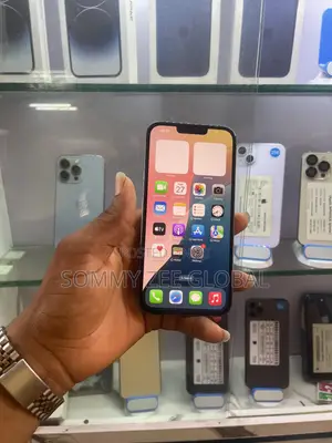 Apple iPhone 13 Pro Max 256 GB Black