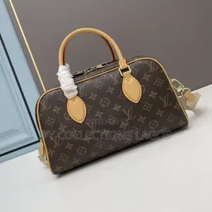 Louis Vuitton Luxury Lv Bags