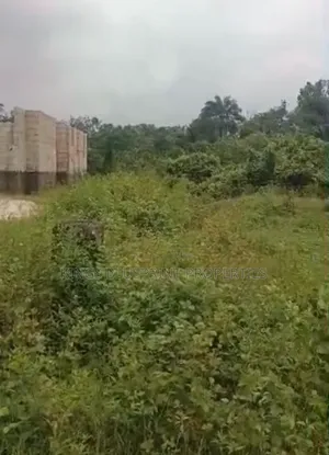100 by 50 for Sale at Nigercat Off Npa Expressway Ekpan Warri