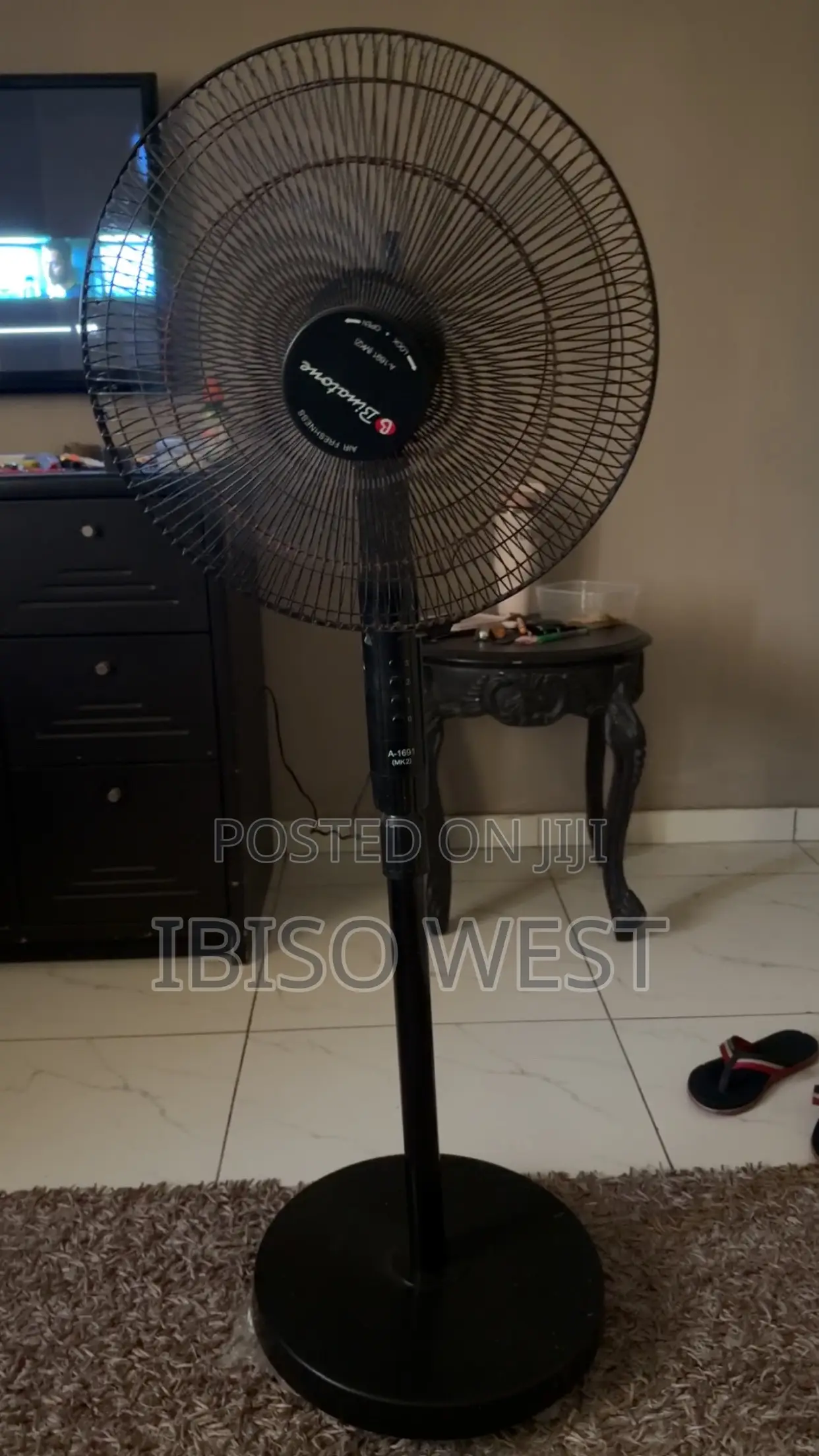 Binatone Standing Fan