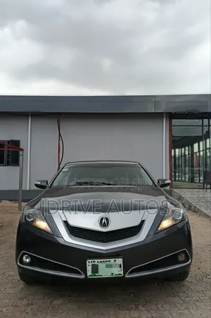 Acura ZDX Base AWD 2010 Gray
