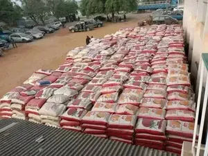 White Rice