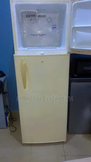 L.G 380 Litres Double Door Fridge