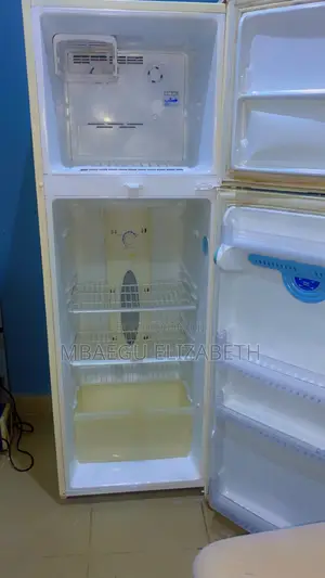 L.G 380 Litres Double Door Fridge