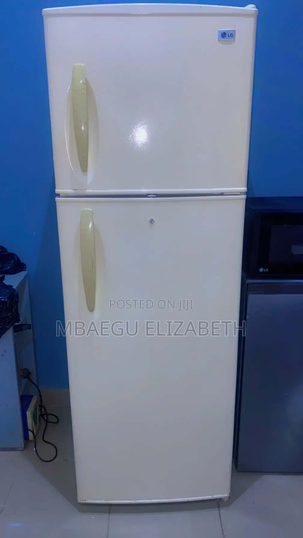 L.G 380 Litres Double Door Fridge