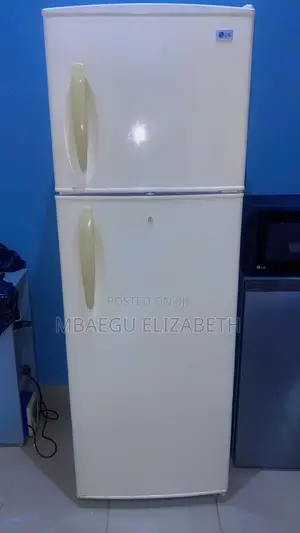 L.G 380 Litres Double Door Fridge