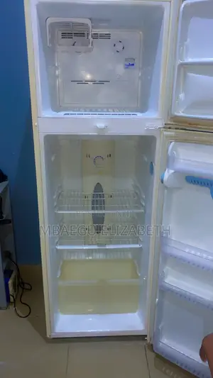 L.G 380 Litres Double Door Fridge