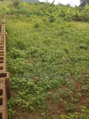 Plots of Land 4 Sale at Adebiyi Off Oloola Abekoko, Odo-Ona Kekere Ib