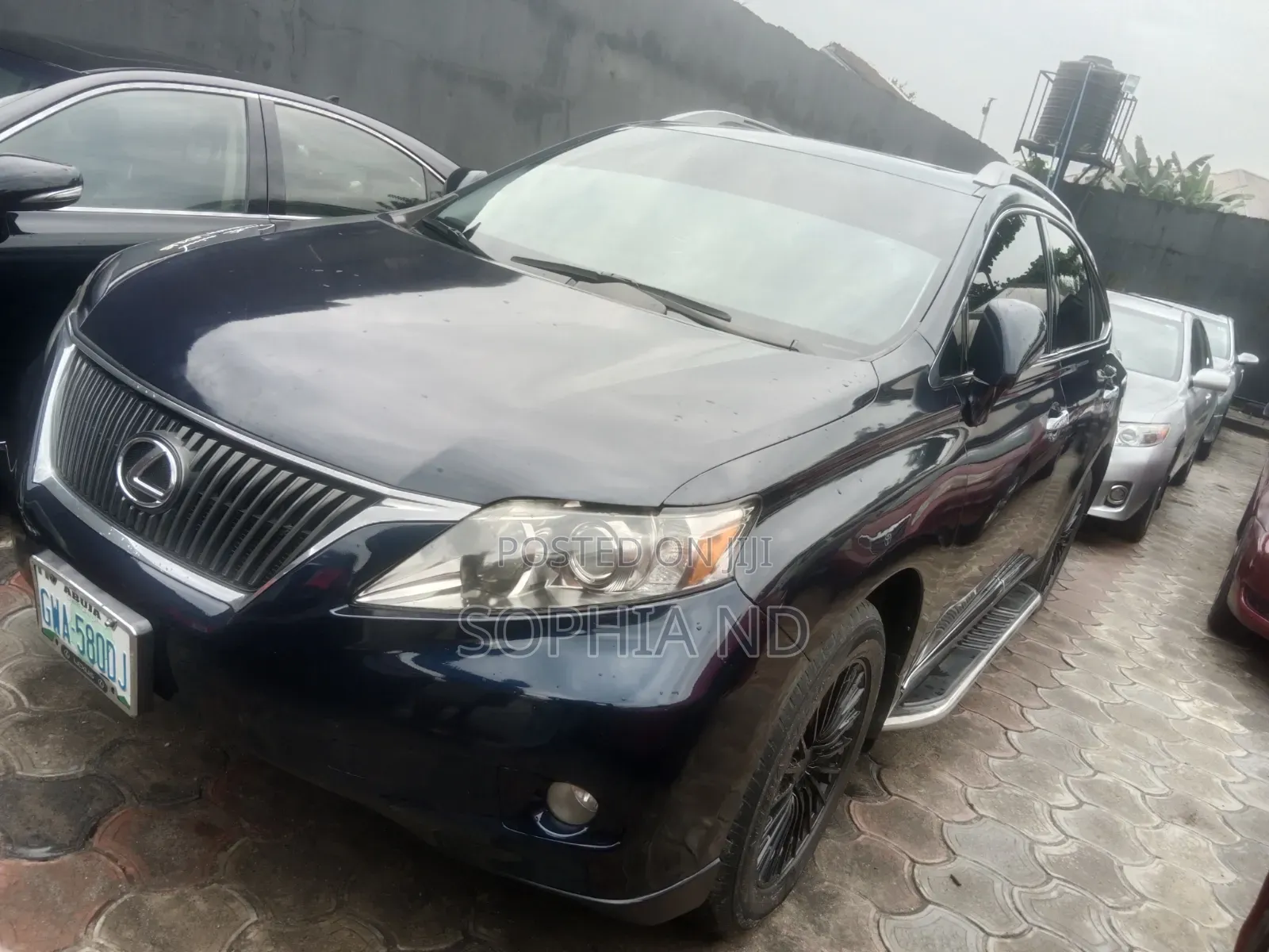 Lexus RX 2010 Blue