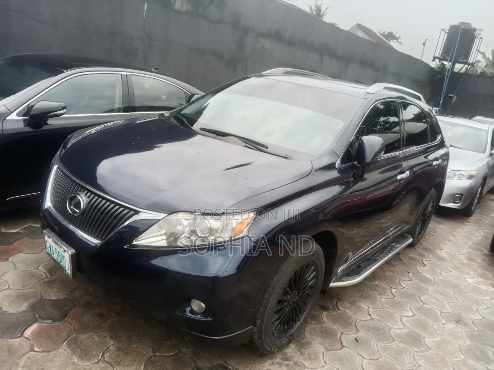 Lexus RX 2010 Blue