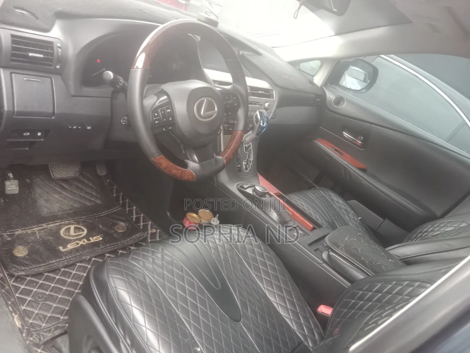 Lexus RX 2010 Blue