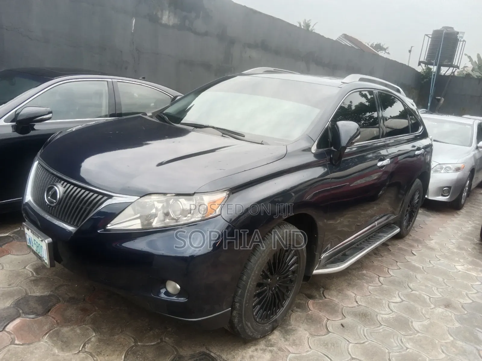 Lexus RX 2010 Blue
