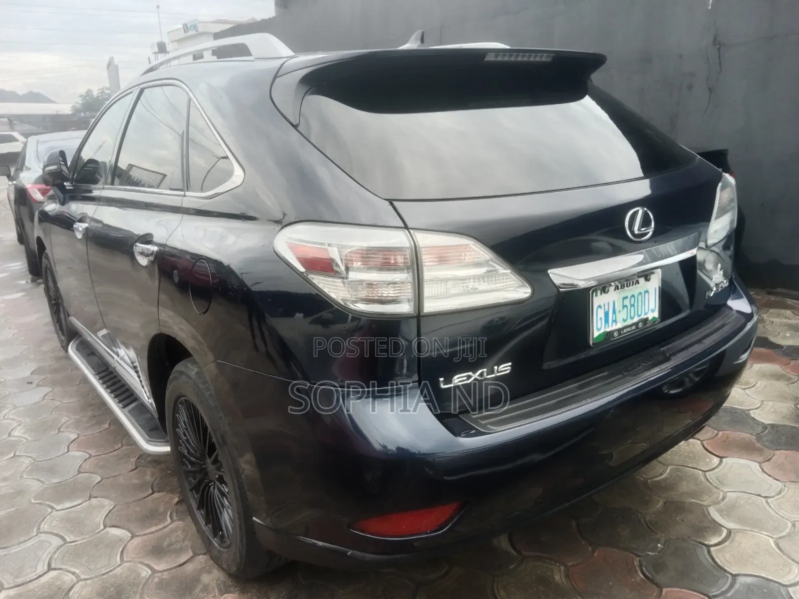 Lexus RX 2010 Blue