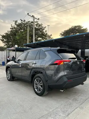 Toyota RAV4 XLE AWD 2019 Gray