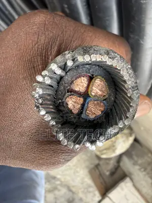 Coleman 25mm 4Core Armoured Cable -Original 100% Copper (Full Gauge)⁠