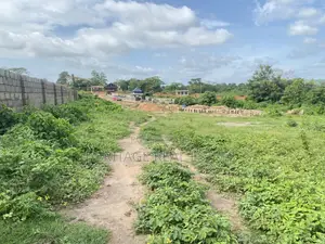 Half Plot Before Akufo IDO LGA