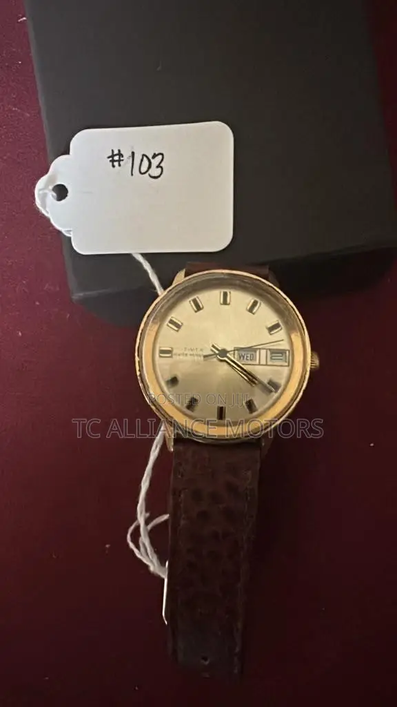 Timex Men Watch
