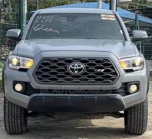 Toyota Tacoma 2020 Gray