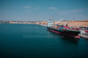International Cargo Shipping From Nigeria