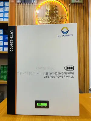 100A 24V 2.5kwh Lvtopsun LiFePo4 Battery