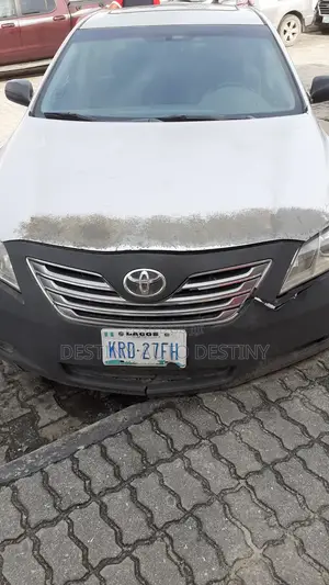 Ford Edge 2008 Gray