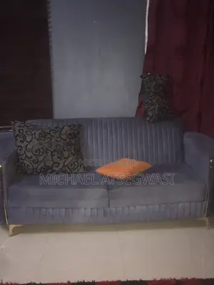 Modern Grey Velvet Sofa With Gold Trim and a Curved Design