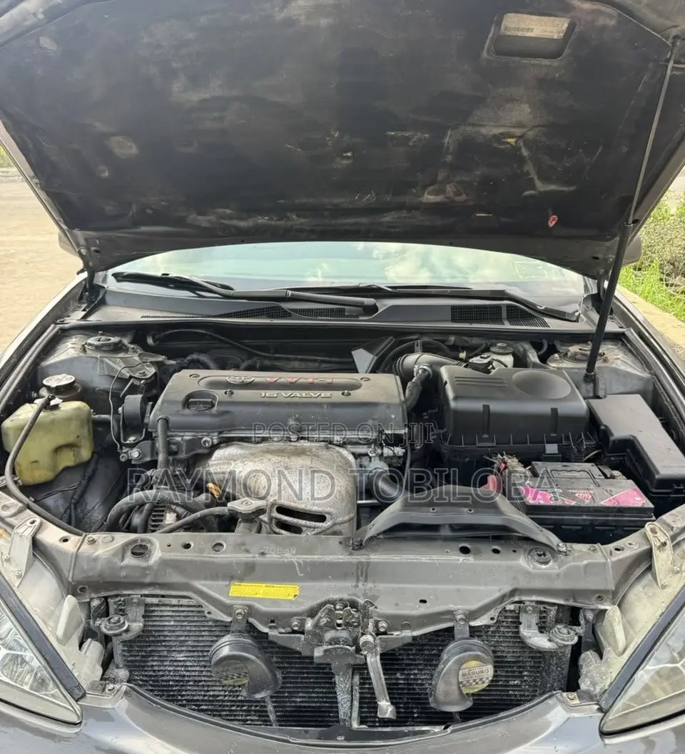 Toyota Camry 2004 Gray