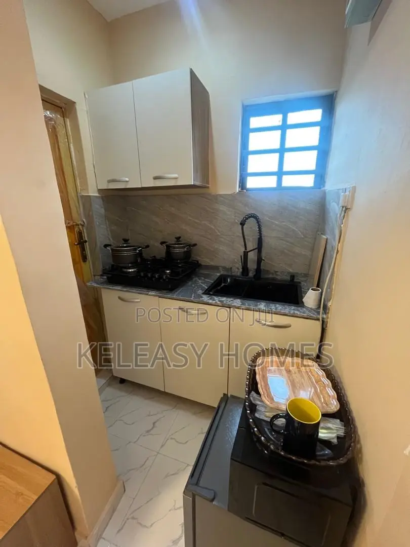 Tastefully Furnished Studio