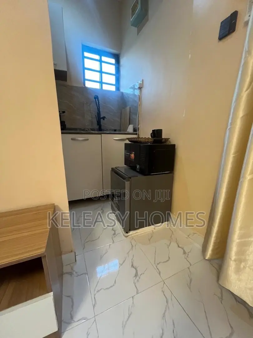 Tastefully Furnished Studio