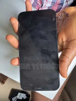 Apple iPhone 12 Pro Max 256 GB Blue