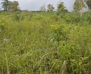 Plots and Acres of Land for Sale in Abeokuta