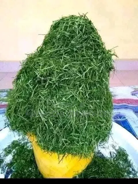 Sweet Foood