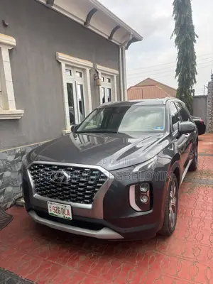 Hyundai Palisade 2020 Gray