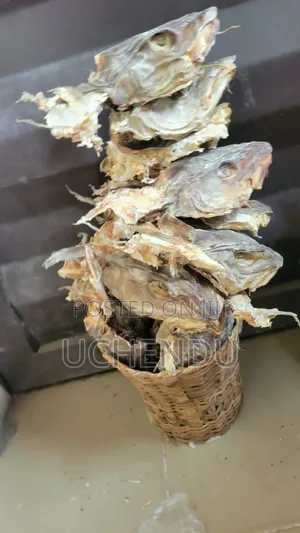 Quality Stock Fish