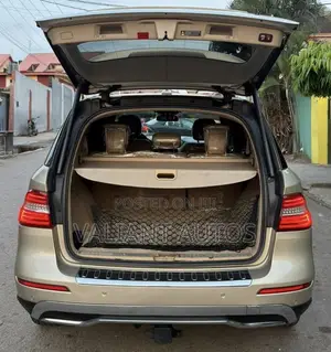 Mercedes-Benz M Class 2014 Gold