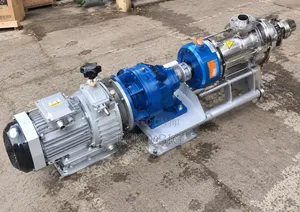 Sanitary Stainless Steel Single/Twin Screw Pump
