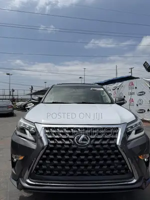 Lexus GX 460 2010 Gray