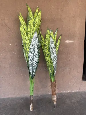Artificial Plants