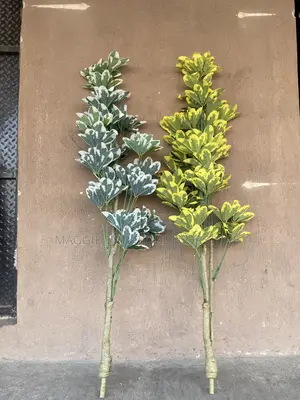 Artificial Plants